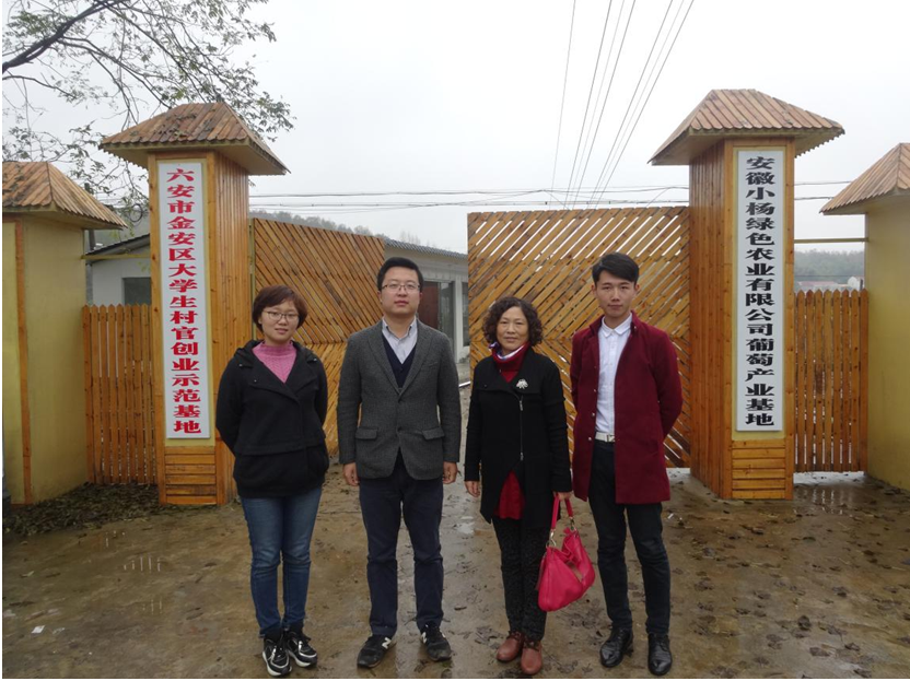 一行人与张店镇镇长助理,小杨村官葡萄主题乐园总经理杨广越进行深入