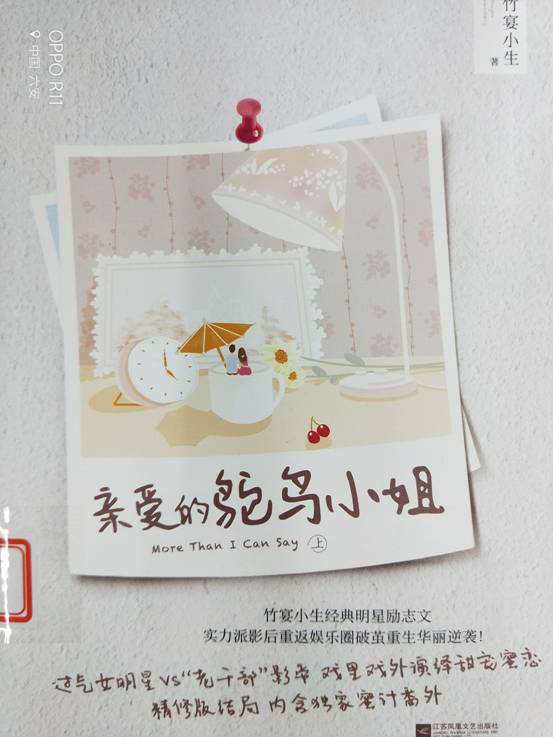 亲爱的鸵鸟小...