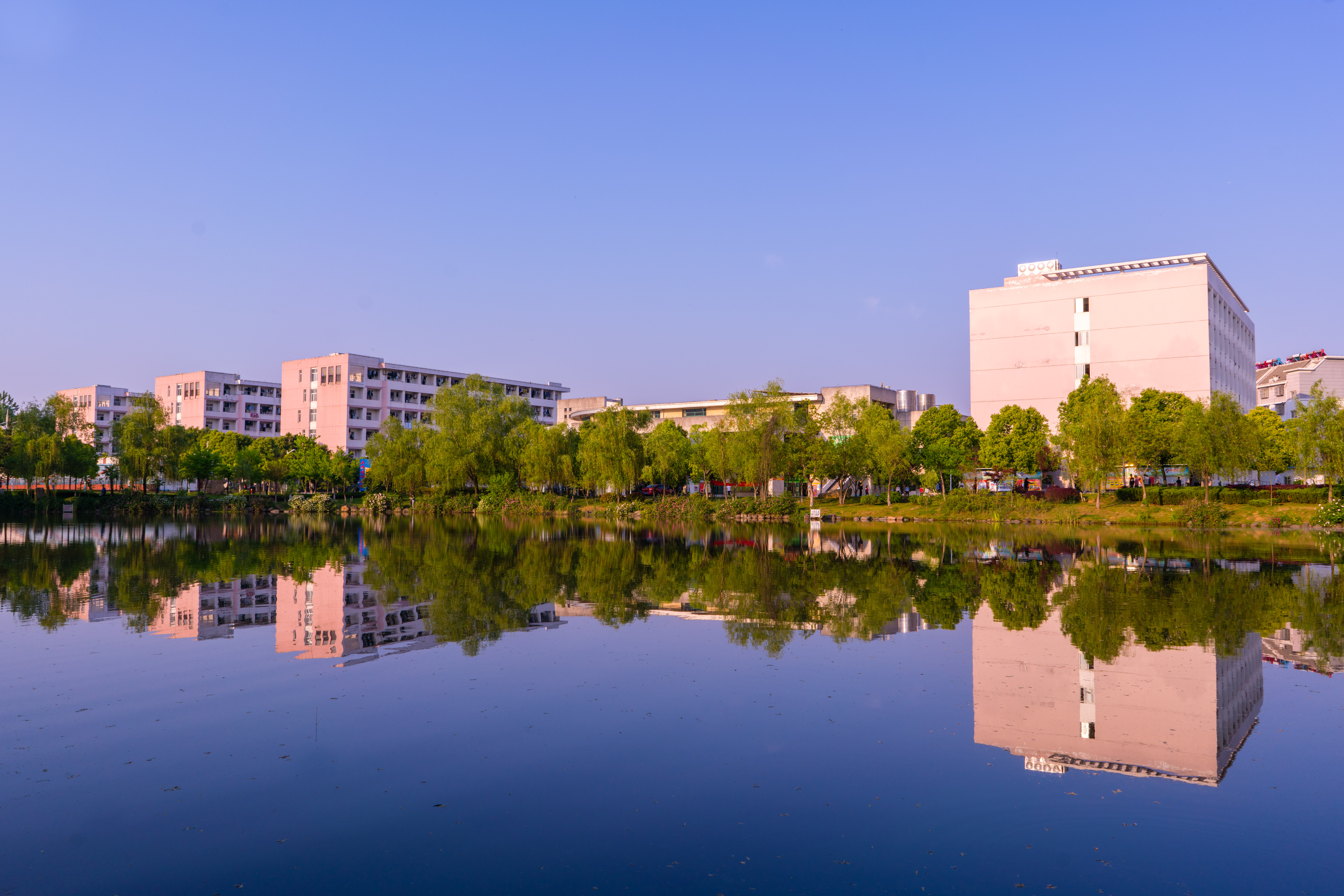 安徽国防科技职业学院满园春色