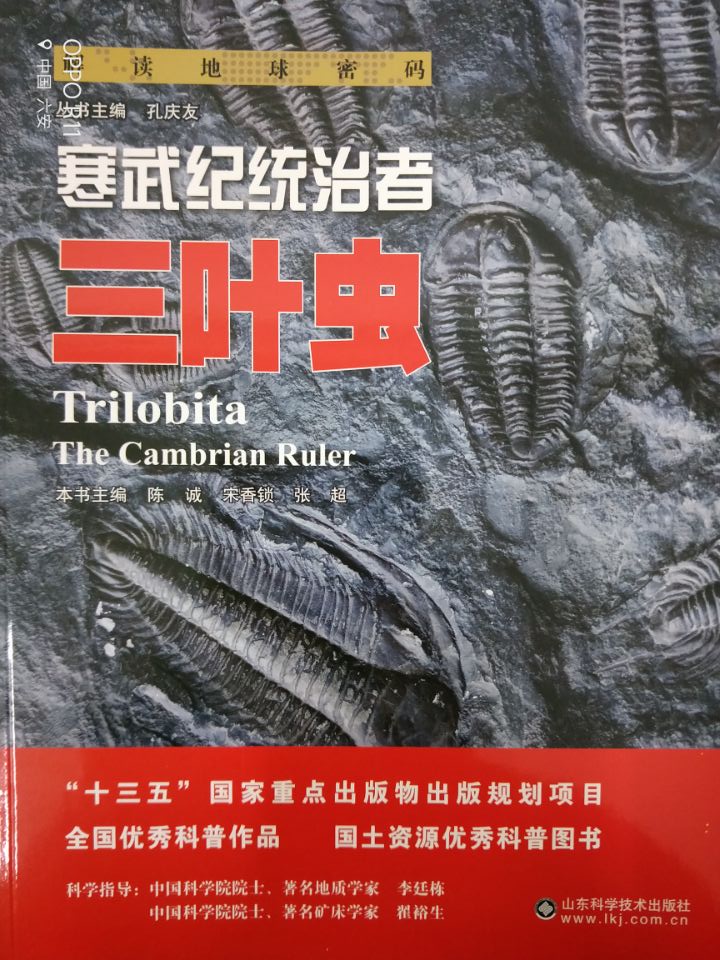 寒武纪统治者-...