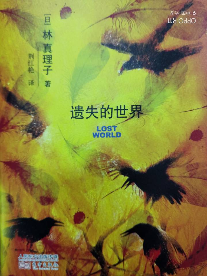 遗失的世界  ...