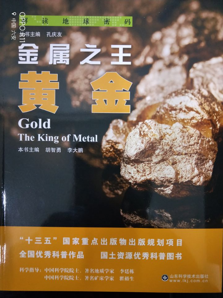 金属之王----...
