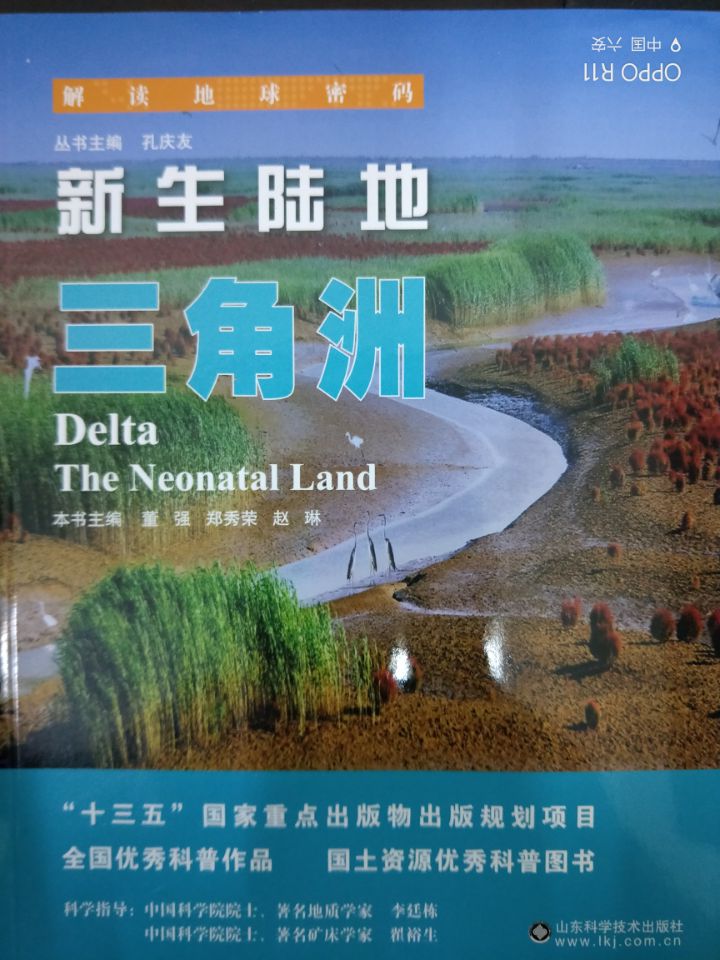 新生陆地----...