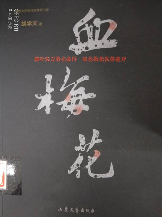 血梅花 胡学文...