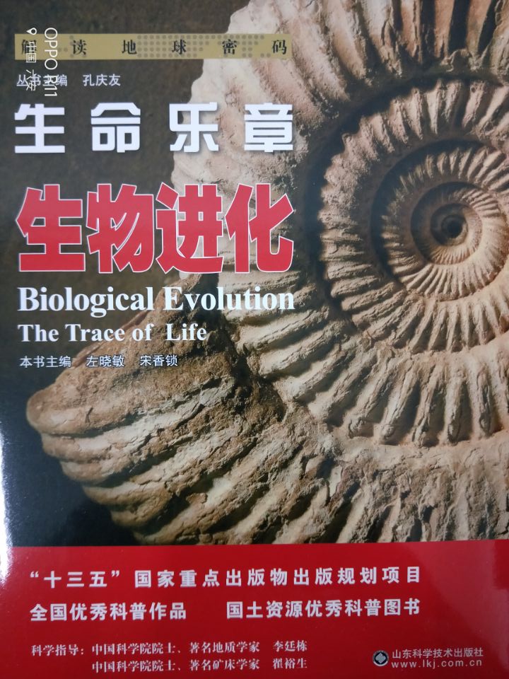 生命乐章----...