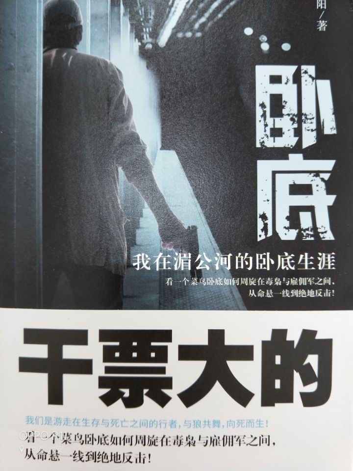 卧底（我在湄...