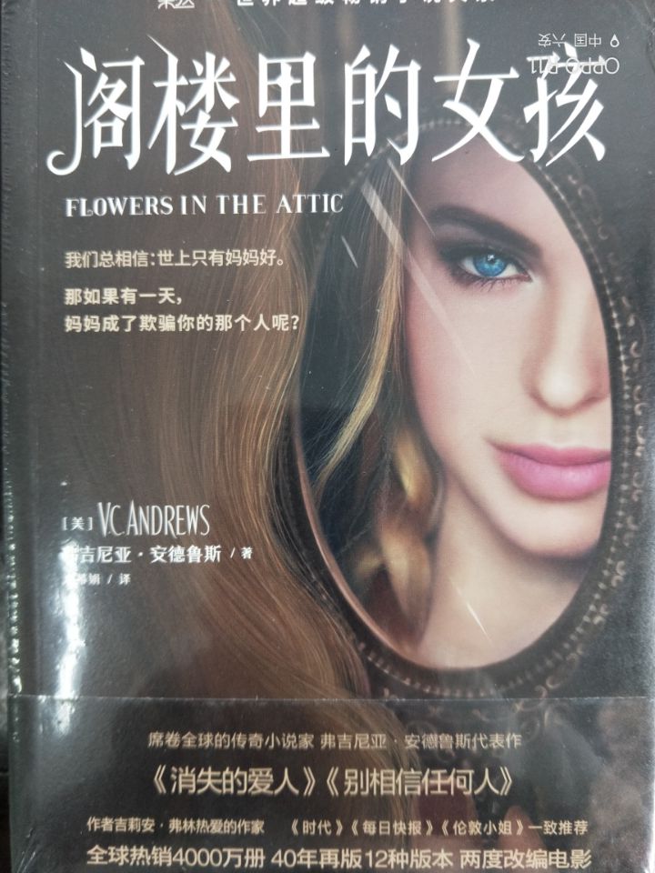 阁楼里的女孩 ...